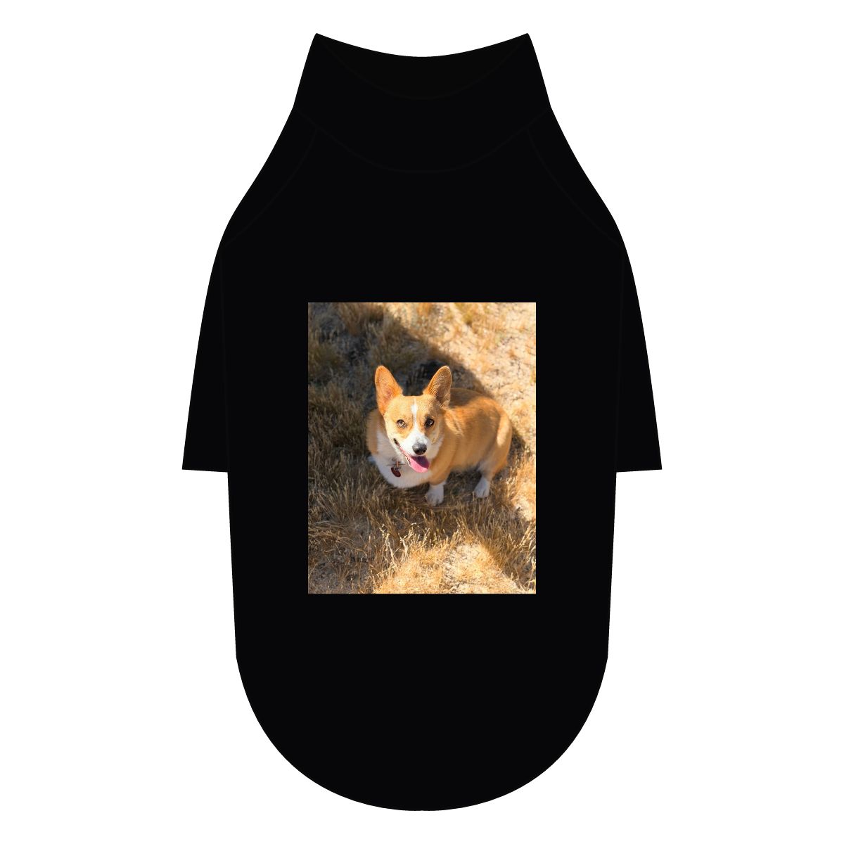Corgi dog tee